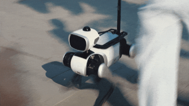 全迹科技UWB助力Vbot机器狗荣膺Best of CES大奖